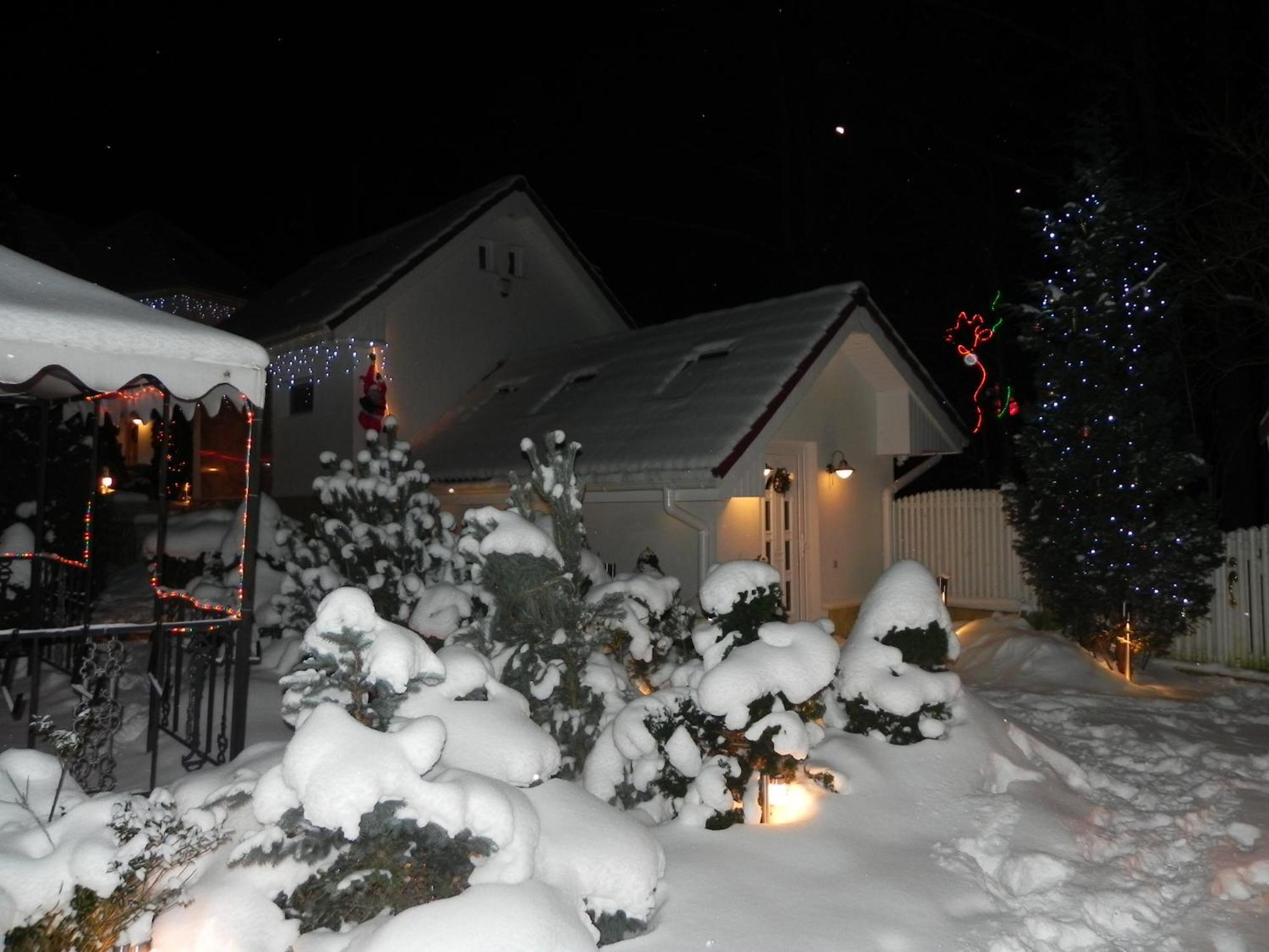 Boutique Hotel Forest Retreat (Adults Only) บุชเตนี ภายนอก รูปภาพ