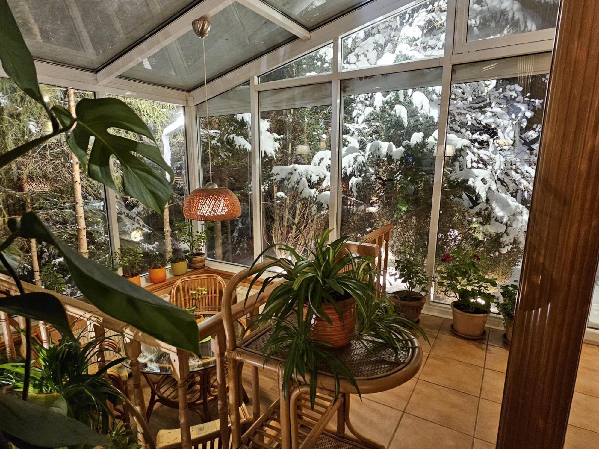 Boutique Hotel Forest Retreat (Adults Only) บุชเตนี ภายนอก รูปภาพ